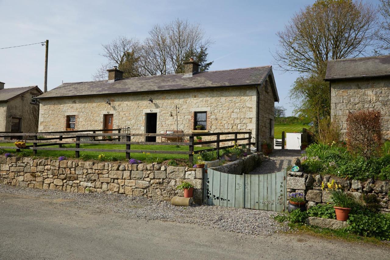 Kilquiggan Cottages Coolkenno المظهر الخارجي الصورة